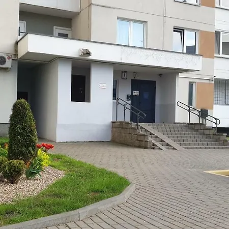 Daire Arena *